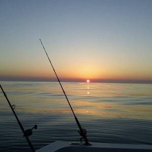 Meet your Posher, Leigh